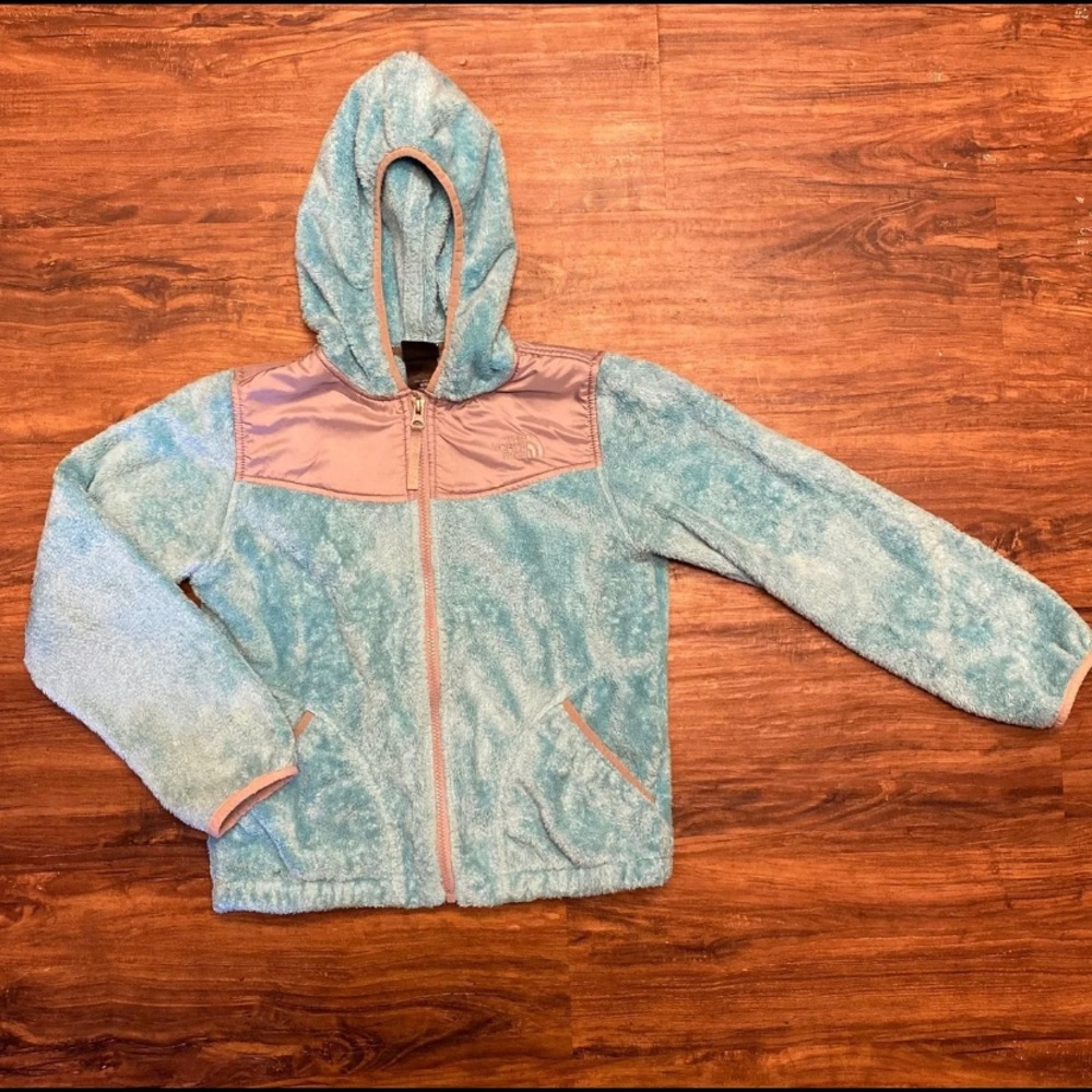 The north face Denali Jacket